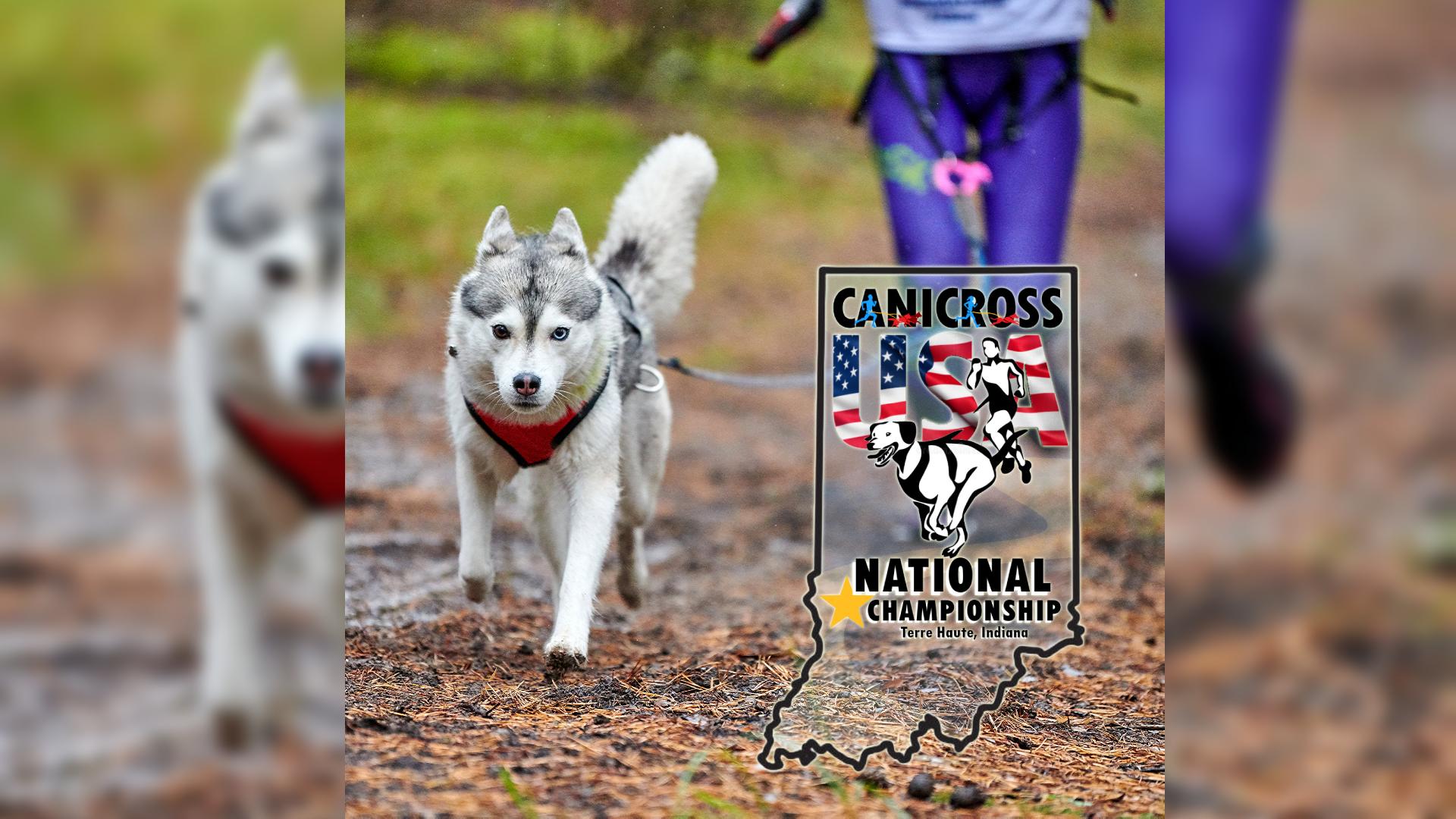 Love running? Love Dogs? A new race in Terre haute is for you ...